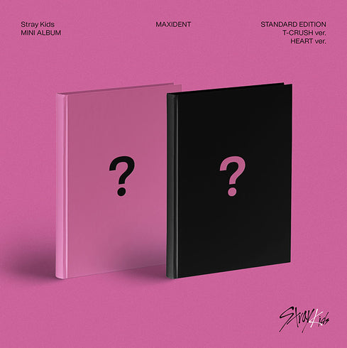 STRAY KIDS - MAXIDENT Standard (Random Ver) CD