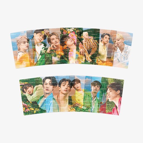 SEVENTEEN [SECTOR 17] Clear Photocard Set